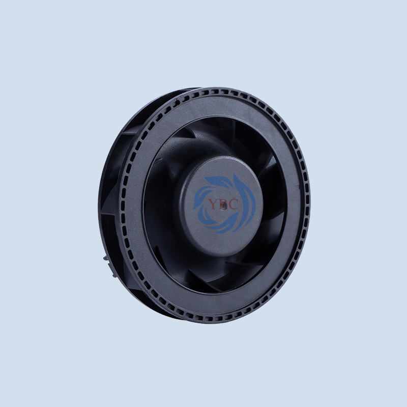 YRC1025(1).jpg YRC1025(1).jpg